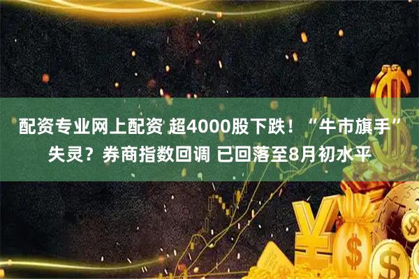 配资专业网上配资 超4000股下跌！“牛市旗手”失灵？券商指数回调 已回落至8月初水平